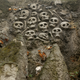 Illustration for article titled Inside the Ghostly Remains of Budapest's Condemned Amusement Park